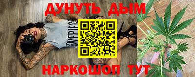 молекула духа Кингисепп