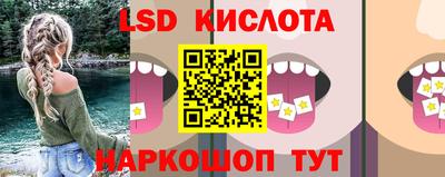 молекула духа Кингисепп
