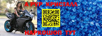 молекула духа Кингисепп