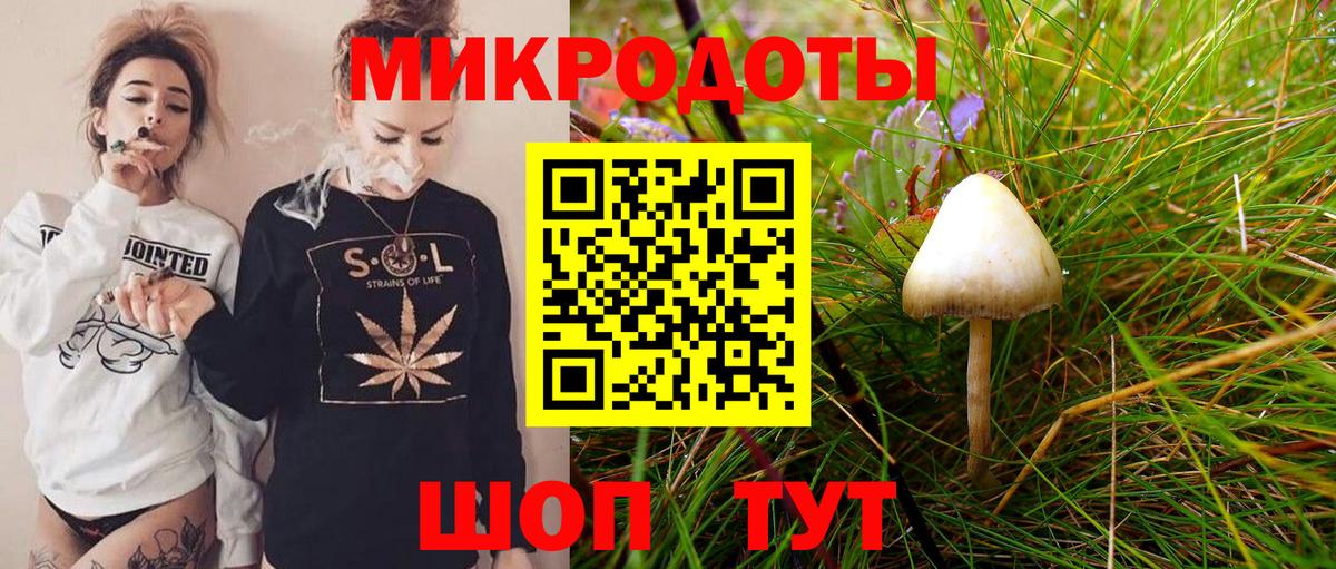 Лабинск  Галлюциногенные грибы Psilocybe  Вход с VPN  Галлюциногенные грибы Cubensis 