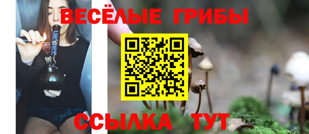 Псилоцибиновые грибы мицелий Лабинск